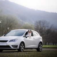 Road Rules You Probably Didn't Know Existed