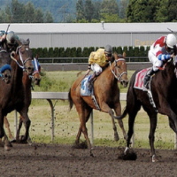 Not Just A Day Of Horseplay For Fun Seekers: The Melbourne Cup Is A Thing Of Aussie Legend