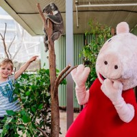 Find Out How to Become a Zoo Keeper for the Day With Peppa Pig