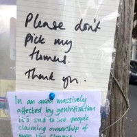 The Sad End to the "Don't Pick My Flowers" Note