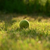 Couple Take Legal Action After Neighbours Kids Lose Too Many Balls Over Their Fence