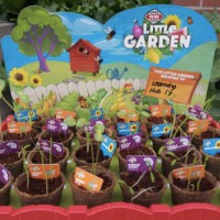 So Cute! We Just Cannot Wait For Coles Little Garden