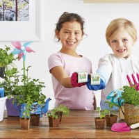 Sneak Preview Of Woolworths Discovery Garden Promotion