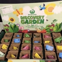 Woolworths Discovery Garden Is Back