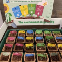 The Start Date For Woolworths Discovery Garden Has Been Revealed