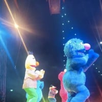 Sesame Street Circus Spectacular By Silvers! Review