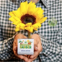 Special Limited Edition Woolworths Discovery Garden Sunflower Seeds On Sale This Weekend Only