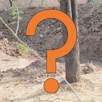 Internet In Meltdown Trying To Find Leopard In This Photo