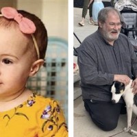 Grandfather Charged After Toddler Plunged From Cruise Ship