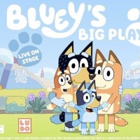 The Bluey Live Stage Show Is Coming Soon