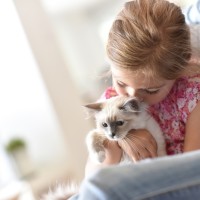 Cuddle Kittens - Is This The Cutest School Holiday Activity Ever?