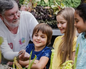 kids activities in sydney royal botanic garden