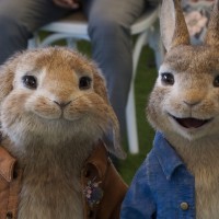 Peter Rabbit 2 Has Been Postponed Because of Coronavirus