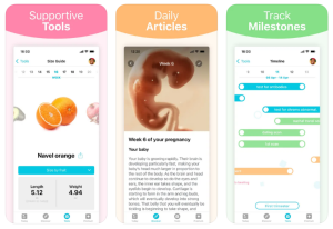 Pregnancy + pregnancy app