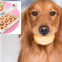 PSA: Krispy Kreme Are Giving Away Free Doughnuts, Here's How To Get Yours!