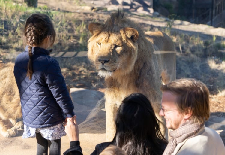 Win 1 Out Of 10 Family Passes To Taronga Zoo Sydney