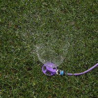 The Best Ways To Save Water Around Your Home