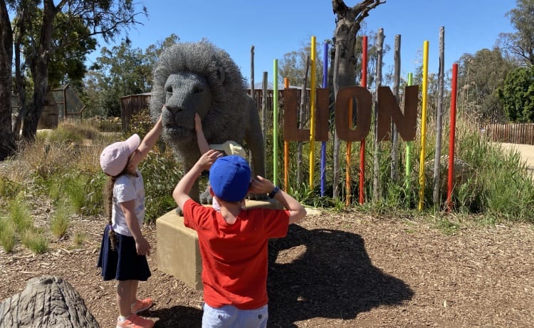 dubbo-zoo-lion