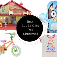 Our Pick Of The Best Bluey Gifts This Christmas