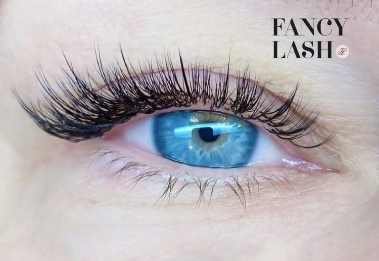 Win 1 of 4 Lash Extension Appointments With Fancy Lash