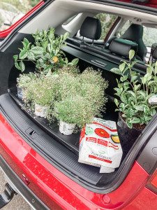 MG HS SUV test drive