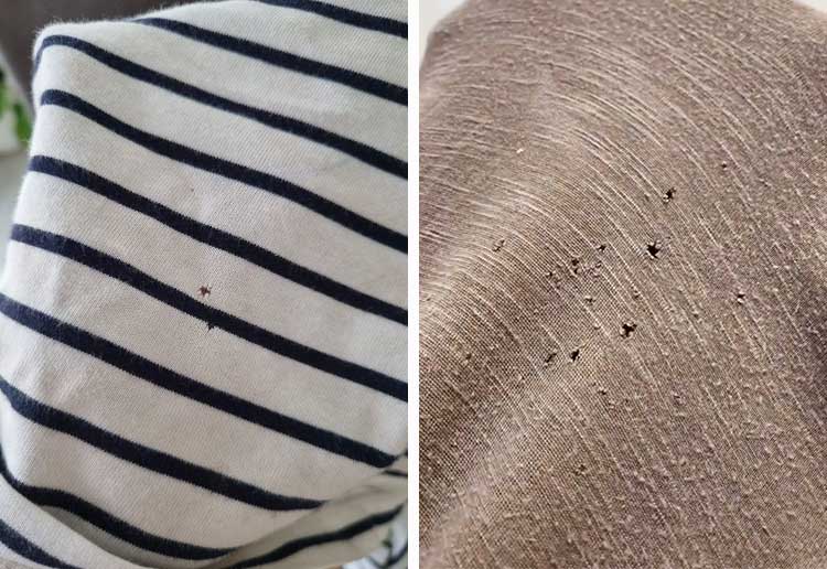 Mystery Solved: This Is Why Tiny Holes Appear In T-Shirts