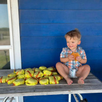 Toddler Orders 31 Macca's Cheeseburgers On DoorDash