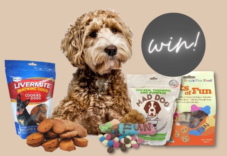 Win 1 Of 10 Wagalot Prize Packs For Your Furbaby