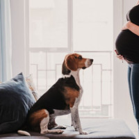 'My Pregnant Wife Wants Me To Re-home Our Dog, And I'm Refusing'