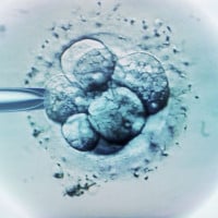 'Am I Wrong For Refusing To Give My Embryo To My Ex-Husband?'