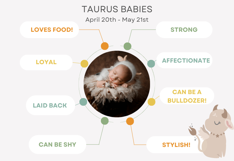 Taurus baby