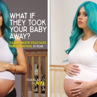 PETA's 'Stolen Babies' Anti-Dairy Campaign Leaves Sour Taste