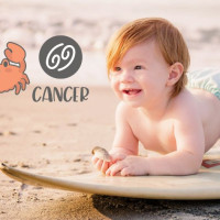 Cancer Babies: What To Expect From Your Little Crab