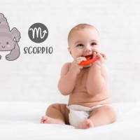 Scorpio Babies: What To Expect From Your Little Scorpion