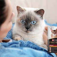 PRO PLAN Adult Chicken Wet Cat Food Pouch Review