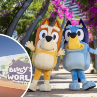 Bluey's World Is Coming, For Real Life!