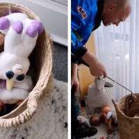 Aussie Mum's Terrifying Toy Basket Discovery