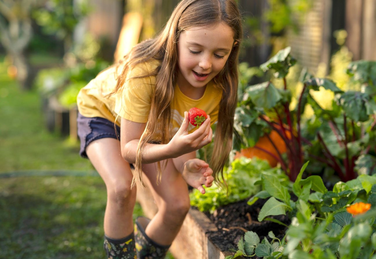 Girl picking strawberries.