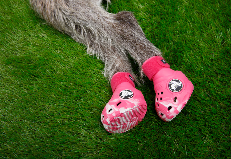 Pet Crocs