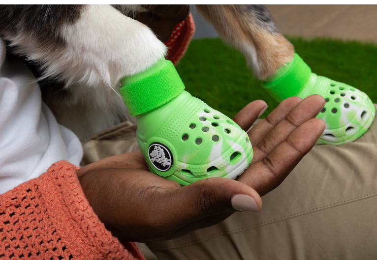 Pet Crocs