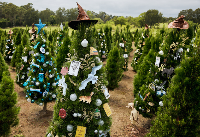 Dural Christmas Tree Farm Harry Potter