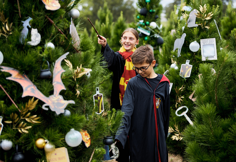 Dural Christmas Tree Farm Harry Potter